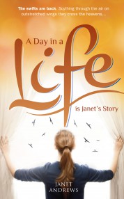 A Day In A Life - Janet Julings