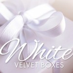 White Velvet Boxes