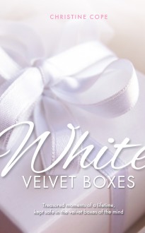 White Velvet Boxes