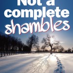 Not a Complete Shambles