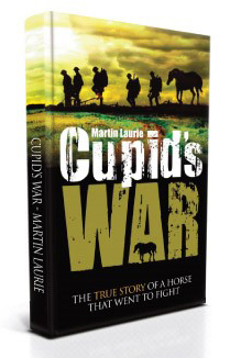 Cupid's War. self-published in 2014